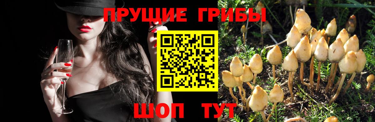 Псилоцибиновые грибы Magic Shrooms Пугачёв